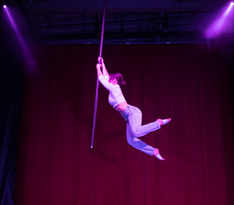 3-Piece Aerial Pole